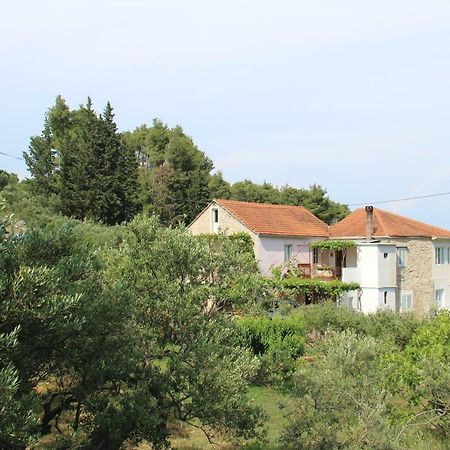 Apartmani Ivankovic Vrisnik Exteriör bild