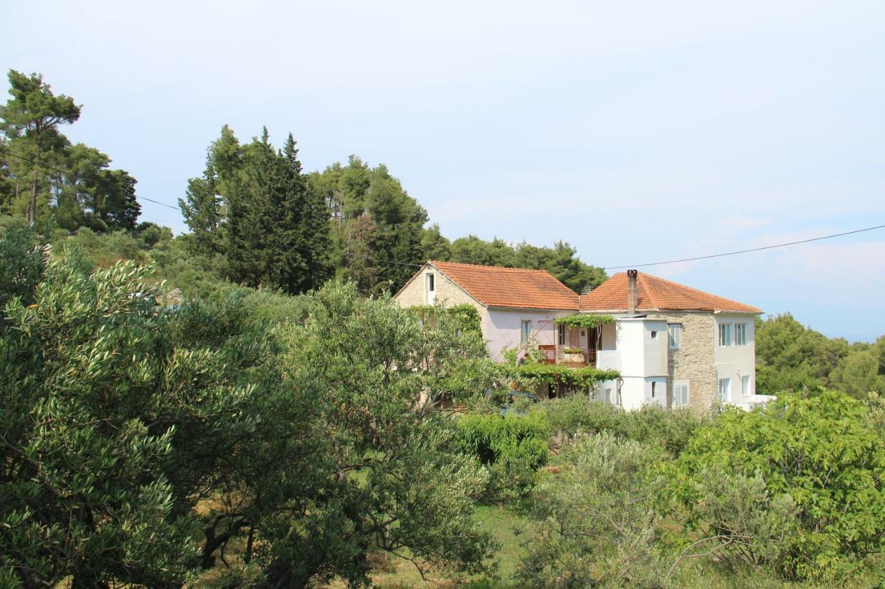Apartmani Ivankovic Vrisnik Exteriör bild