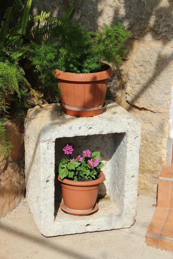 Apartmani Ivankovic Vrisnik Exteriör bild
